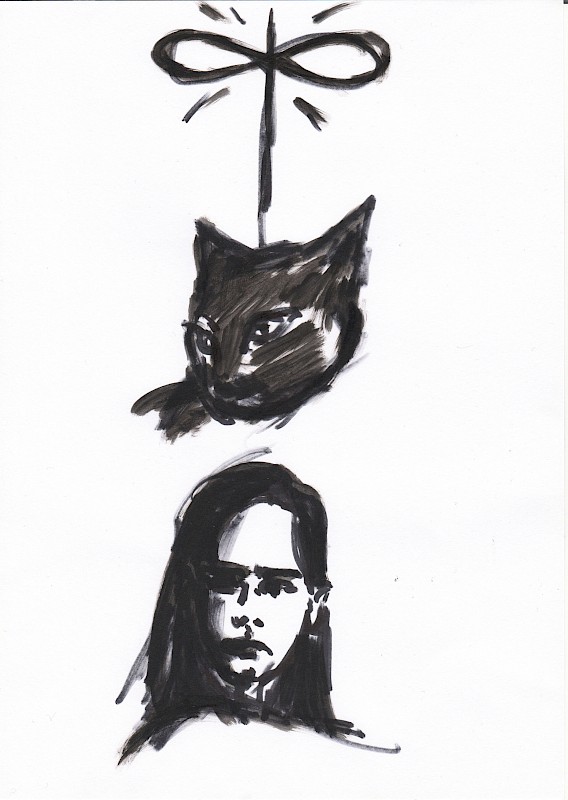 How to Draw A Cat In Political Meeting Rooms